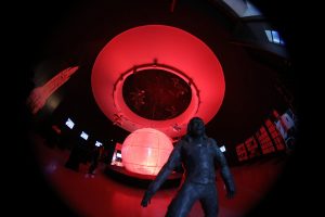 d08f3fa6819e39b4f2e2