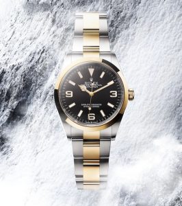 Oyster-Perpetual-Explorer-in-Oystersteel-And-Yellow-Gold-S14990-Rolex