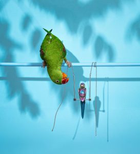 Nenad Sovilj Moja papiga Saša zvijezda je i 'krivac' za novu kolekciju nakita! (3)