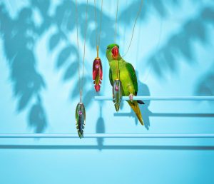 Nenad Sovilj Moja papiga Saša zvijezda je i 'krivac' za novu kolekciju nakita! (4)