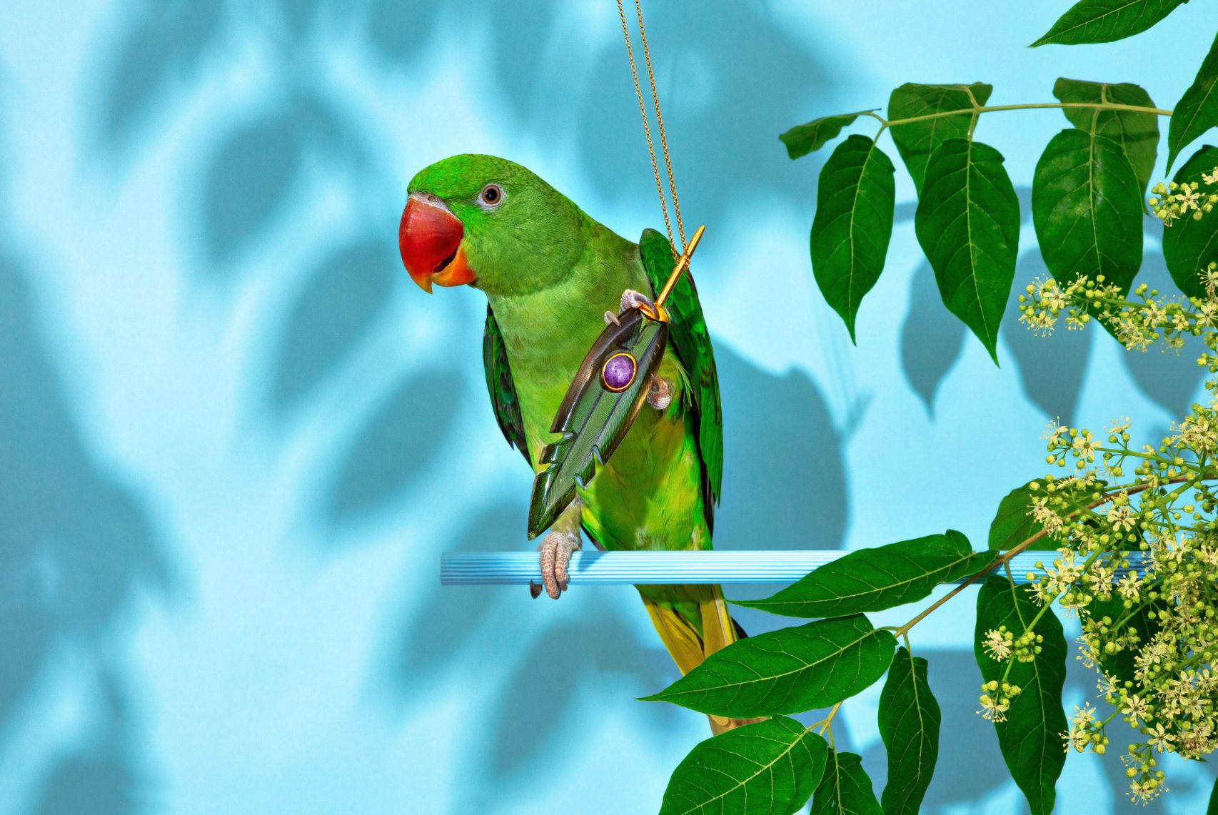 Nenad Sovilj Moja papiga Saša zvijezda je i 'krivac' za novu kolekciju nakita! (5)