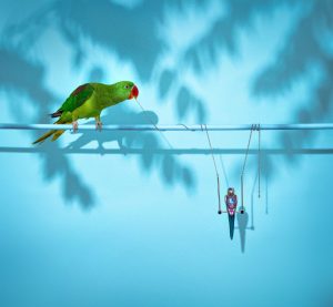 Nenad Sovilj Moja papiga Saša zvijezda je i 'krivac' za novu kolekciju nakita! (7)