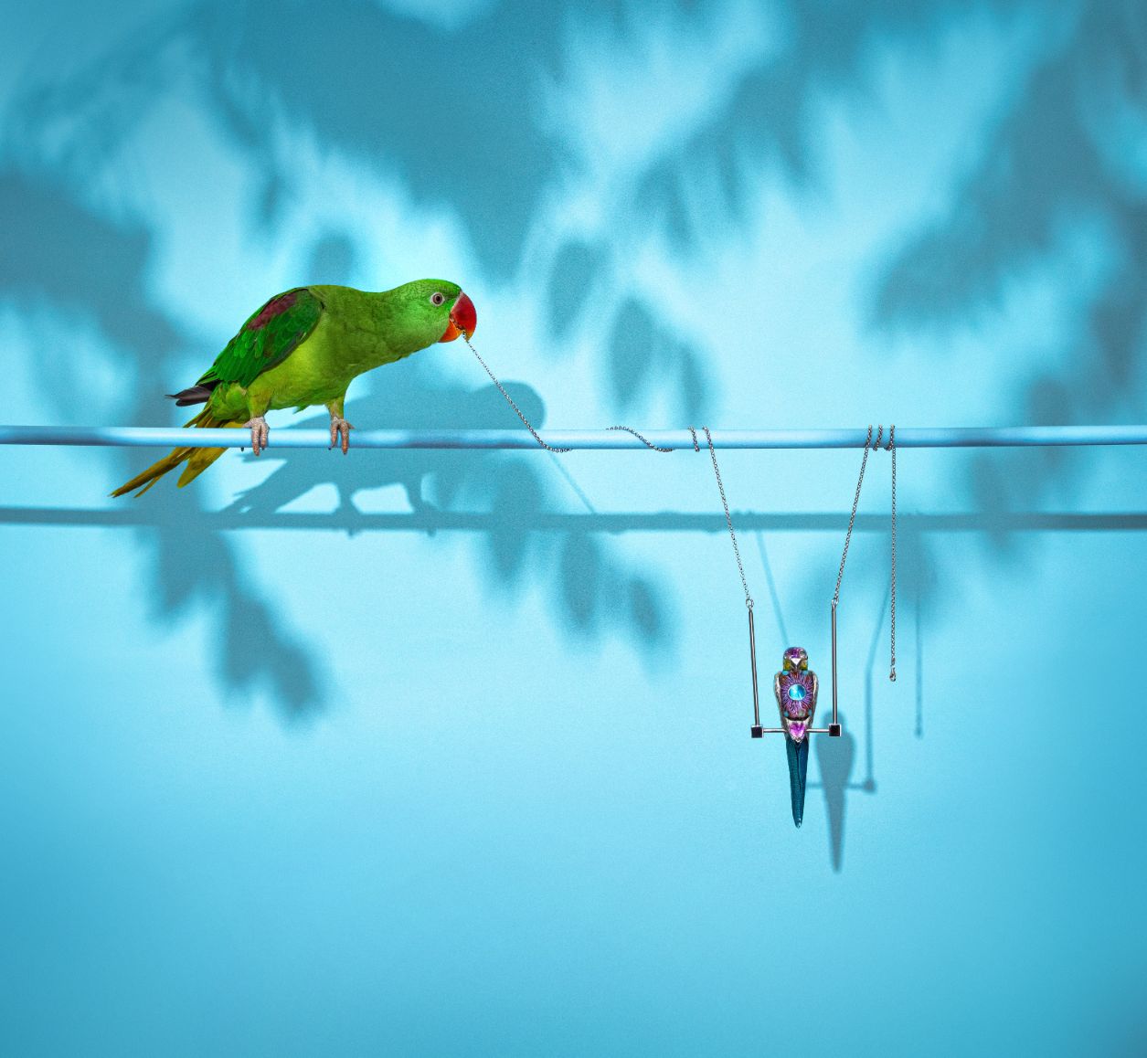 Nenad Sovilj Moja papiga Saša zvijezda je i 'krivac' za novu kolekciju nakita! (7)