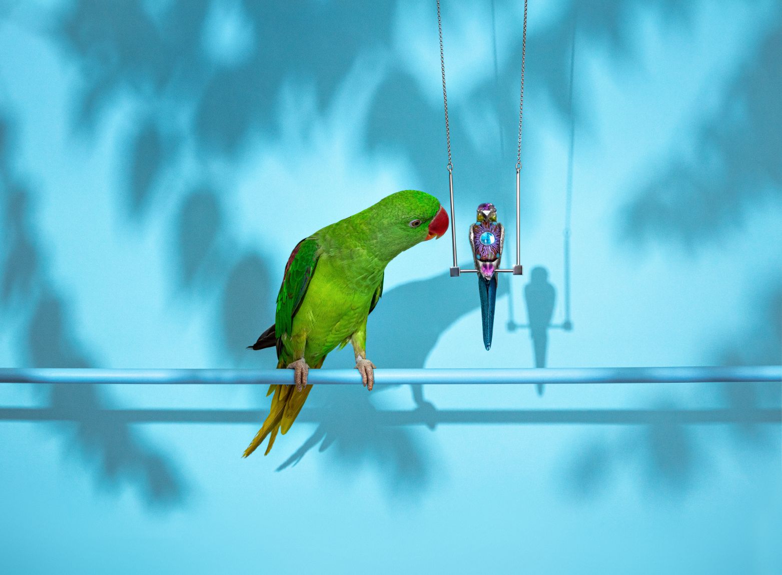 Nenad Sovilj Moja papiga Saša zvijezda je i 'krivac' za novu kolekciju nakita! (8)