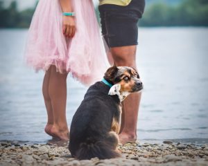 DSC_6342R