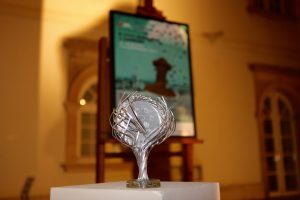 Stilueta - Ivan Midizc 1