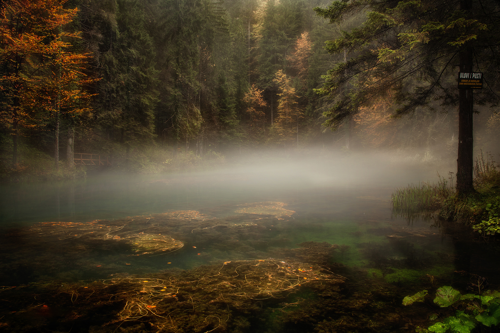 Čogrljevo lake _Moravice_Gorski kotar