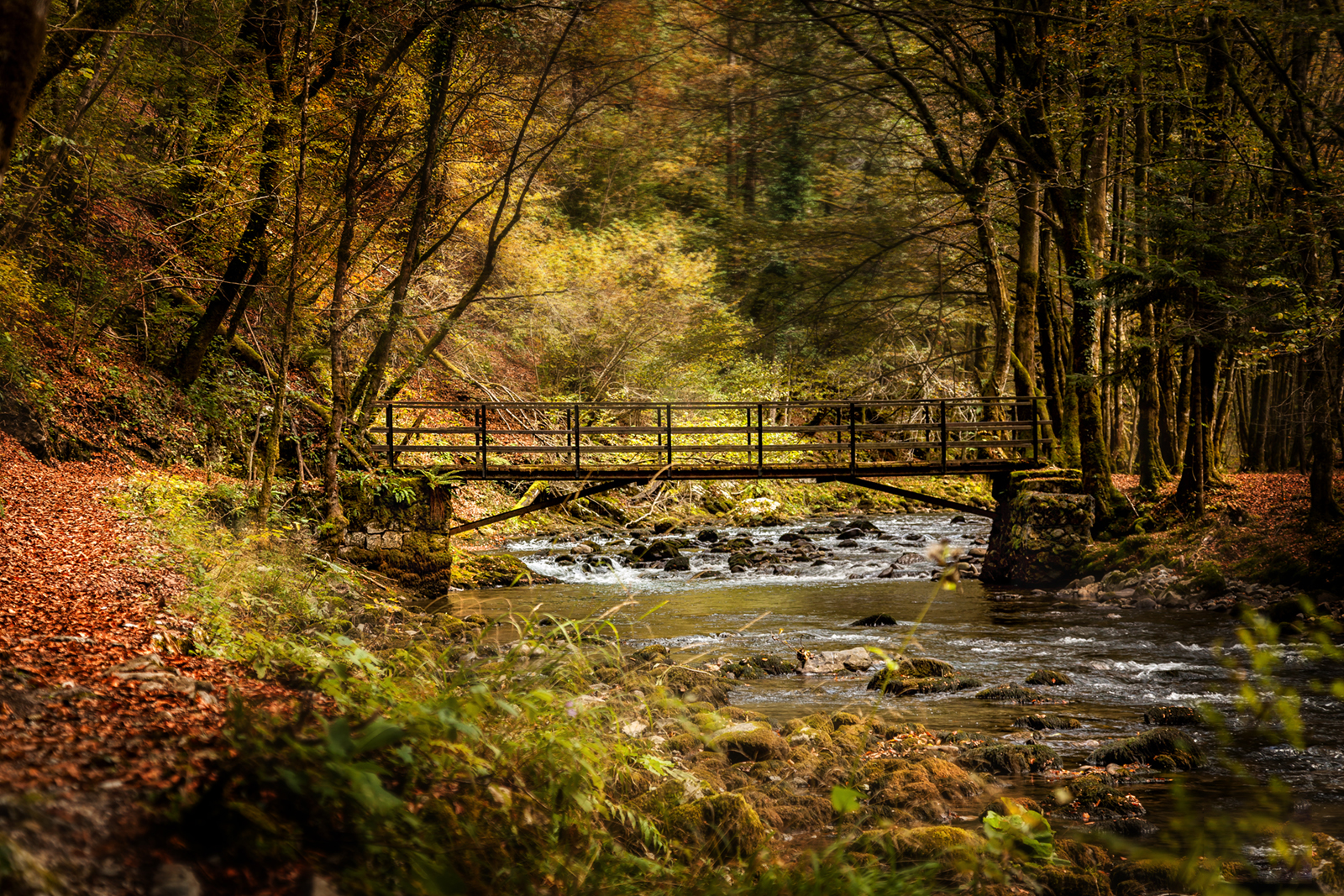 Creek Curak Skrad Gorski kotar