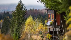 Gorski kotar tree house