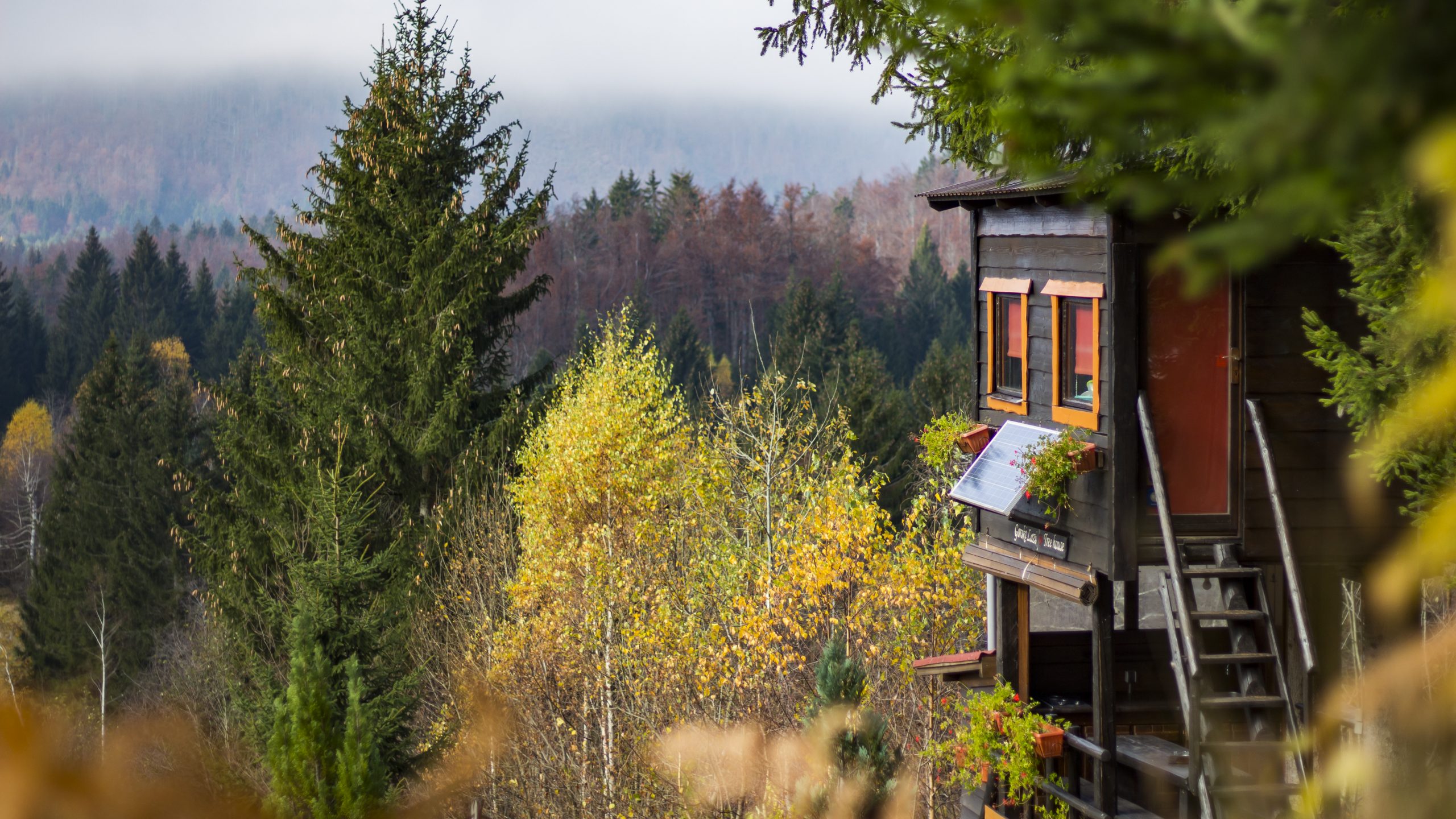 Gorski kotar tree house