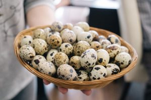 Prepeličja jaja lokalnog OPG-a