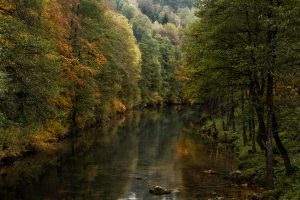River Dobra