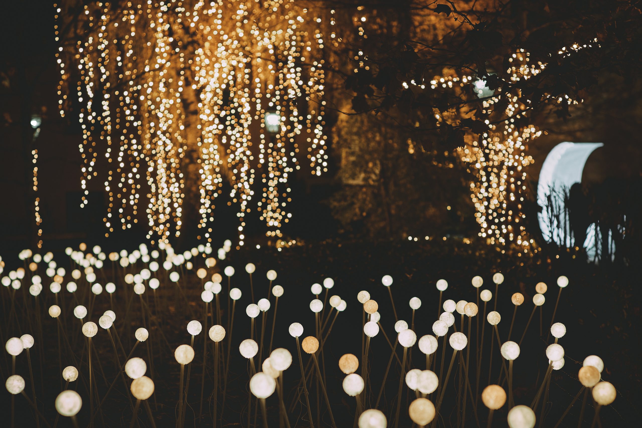 1.5_foto_ Roko Bahat