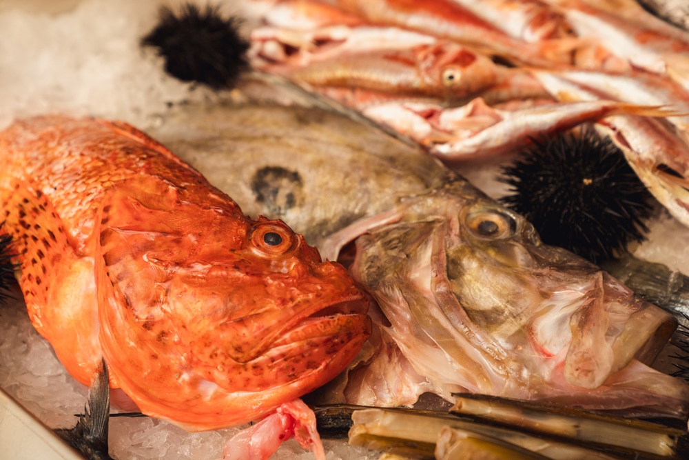 Uje, Pinku i Misto 1