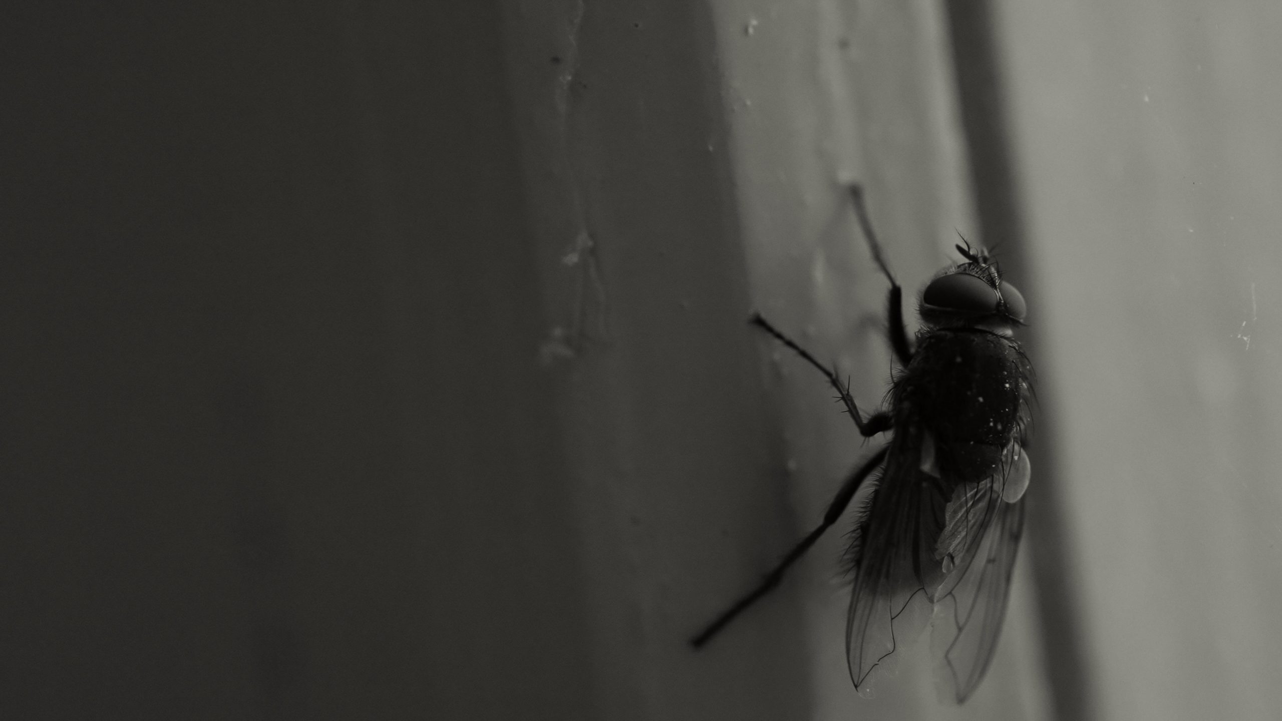 ko-si-da-si-screenshots_12.3.1